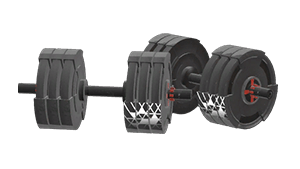 adjustable-dumbbell-presents-items-scarlet-nexus-wiki-guide-300px