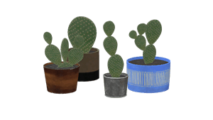 potted-cactus-presents-items-scarlet-nexus-wiki-guide-300px